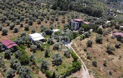kemalpaşa müstakil tapu 837 m2 hayvan damı da bulunan bahçeli villa 