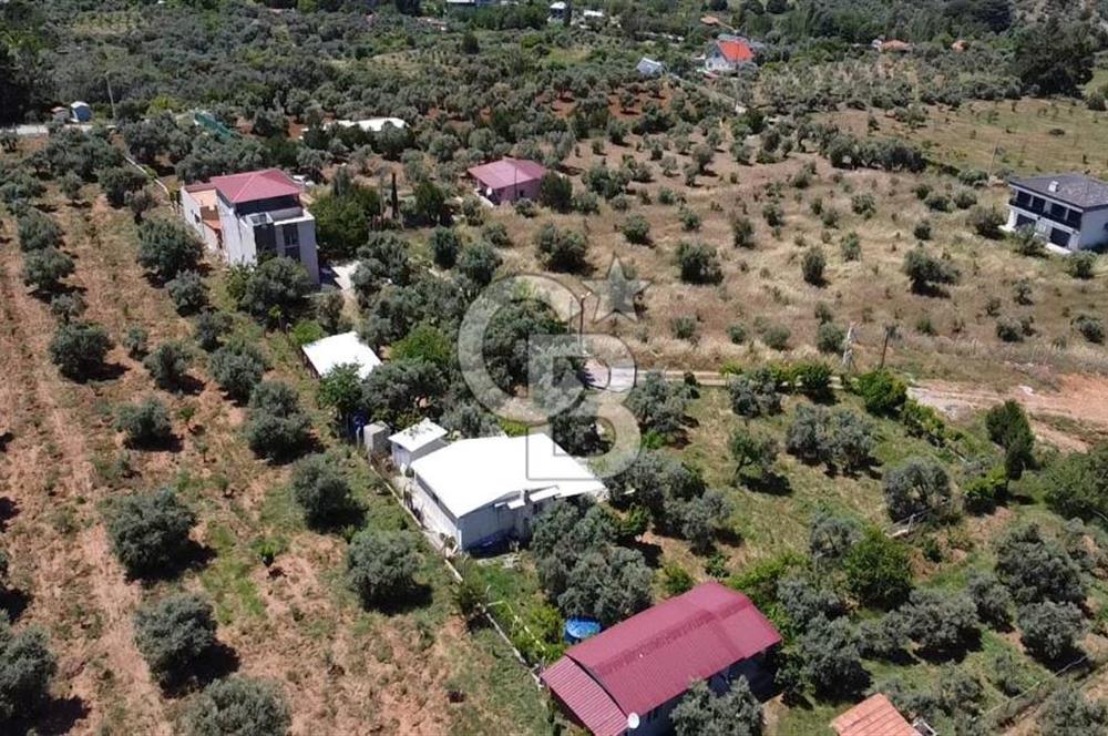 kemalpaşa müstakil tapu 837 m2 hayvan damı da bulunan bahçeli villa 