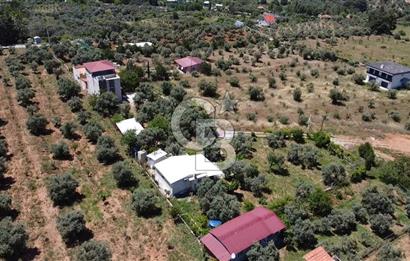 kemalpaşa müstakil tapu 837 m2 hayvan damı da bulunan bahçeli villa 