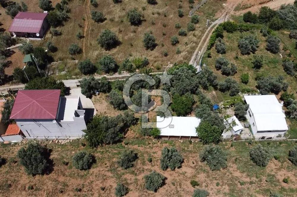 kemalpaşa müstakil tapu 837 m2 hayvan damı da bulunan bahçeli villa 