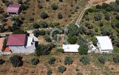 kemalpaşa müstakil tapu 837 m2 hayvan damı da bulunan bahçeli villa 