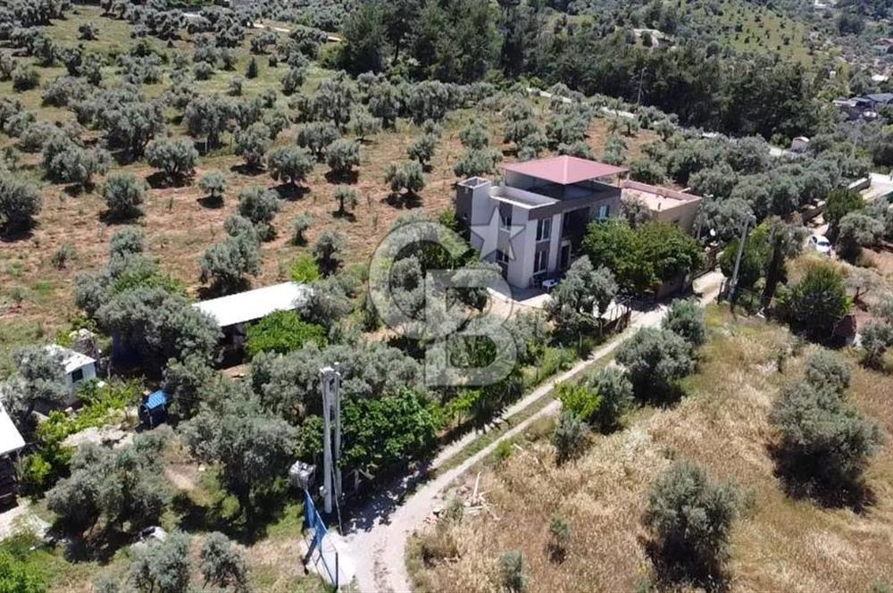 kemalpaşa müstakil tapu 837 m2 hayvan damı da bulunan bahçeli villa 