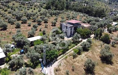 kemalpaşa müstakil tapu 837 m2 hayvan damı da bulunan bahçeli villa 