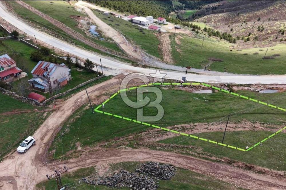 ORDU ÇAMBAŞINDA SATILIK ARSA