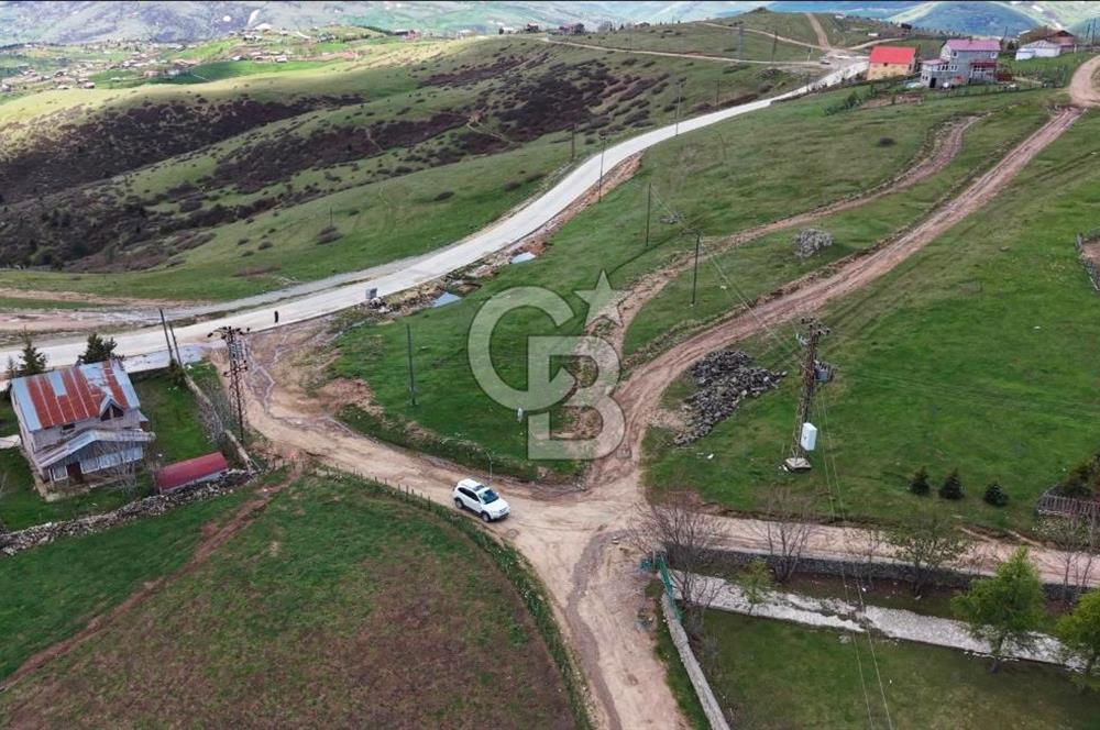 ORDU ÇAMBAŞINDA SATILIK ARSA