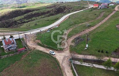 ORDU ÇAMBAŞINDA SATILIK ARSA