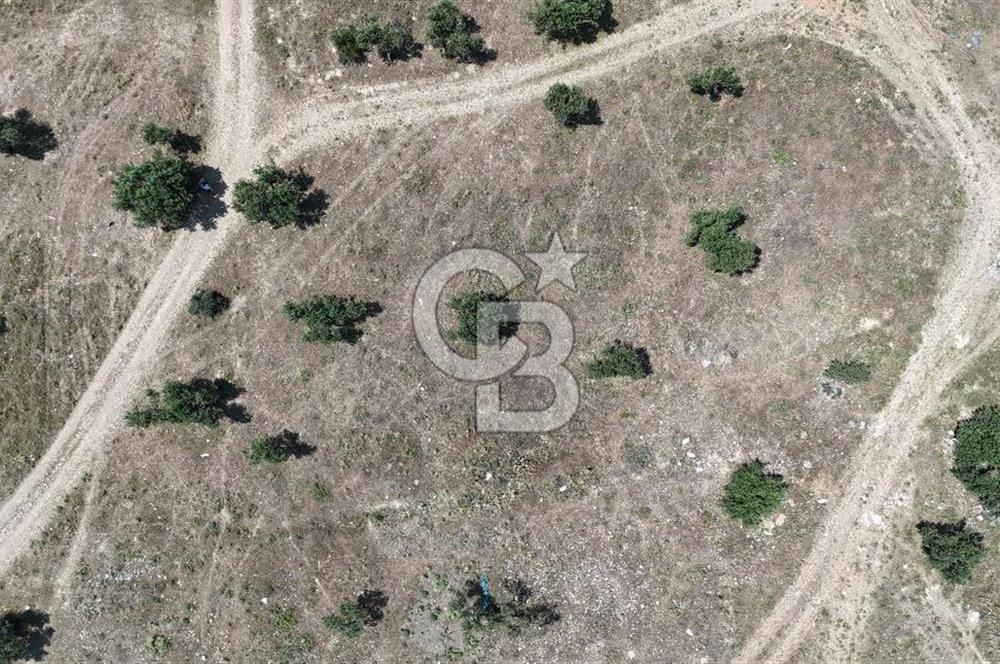 Bergama' da deniz manzaralı, merkeze yakın villa imarlı arsa
