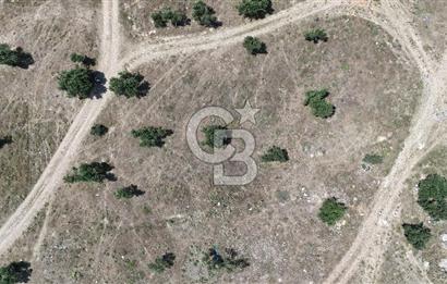 Bergama' da deniz manzaralı, merkeze yakın villa imarlı arsa