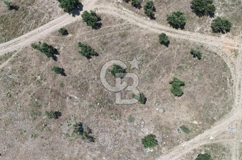 Bergama' da deniz manzaralı, merkeze yakın villa imarlı arsa