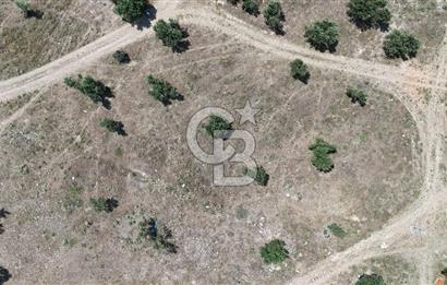 Bergama' da deniz manzaralı, merkeze yakın villa imarlı arsa