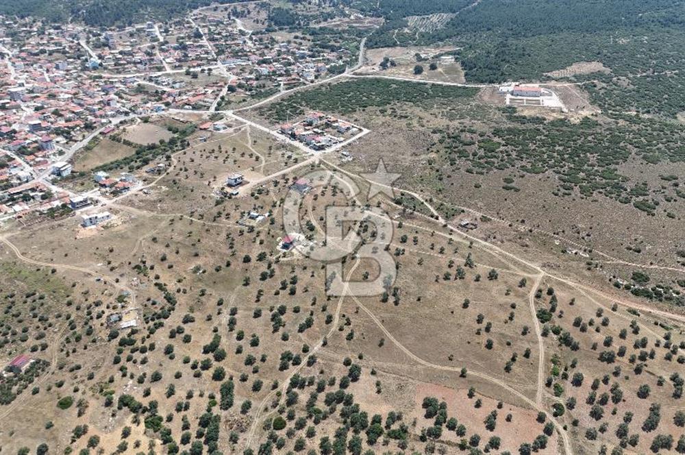 Bergama' da deniz manzaralı, merkeze yakın villa imarlı arsa
