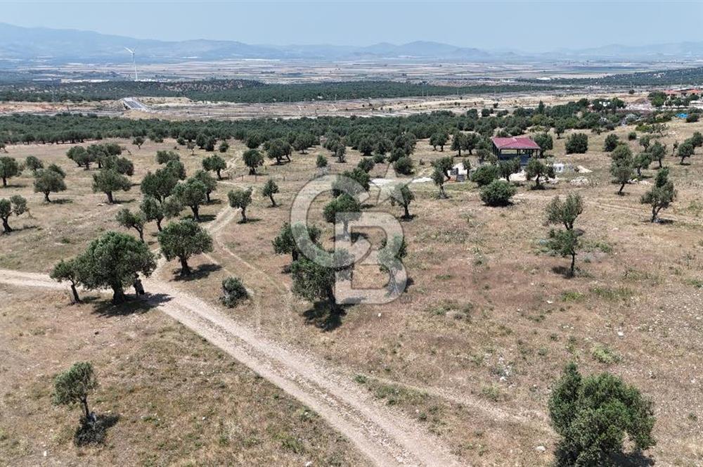 Bergama' da deniz manzaralı, merkeze yakın villa imarlı arsa