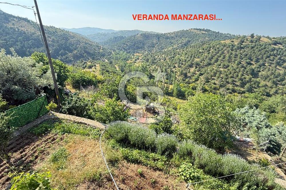 ÇANAKKALE TOLUKLAR KÖYÜ, KAZ DAĞLARI YAMACINDA SATILIK TAŞ EV
