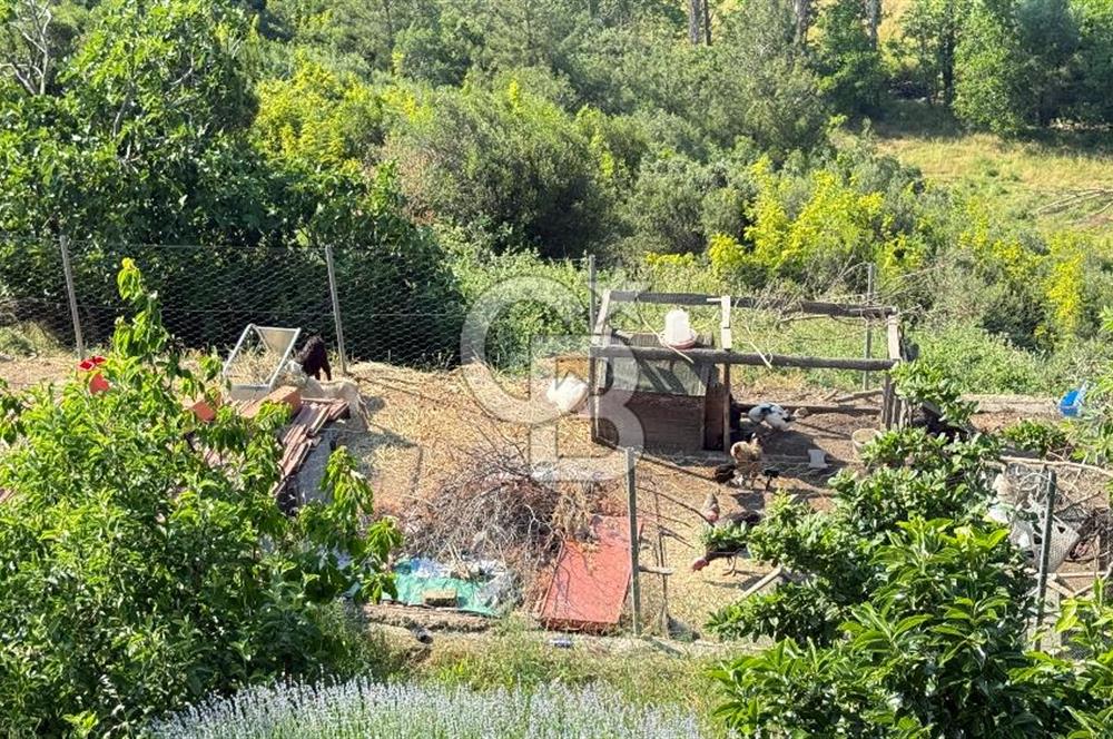 ÇANAKKALE TOLUKLAR KÖYÜ, KAZ DAĞLARI YAMACINDA SATILIK TAŞ EV