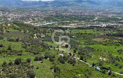 SAKARYA GEYVE DÜZAKÇAŞEHİR DE 3971 M² SATILIK TARLA