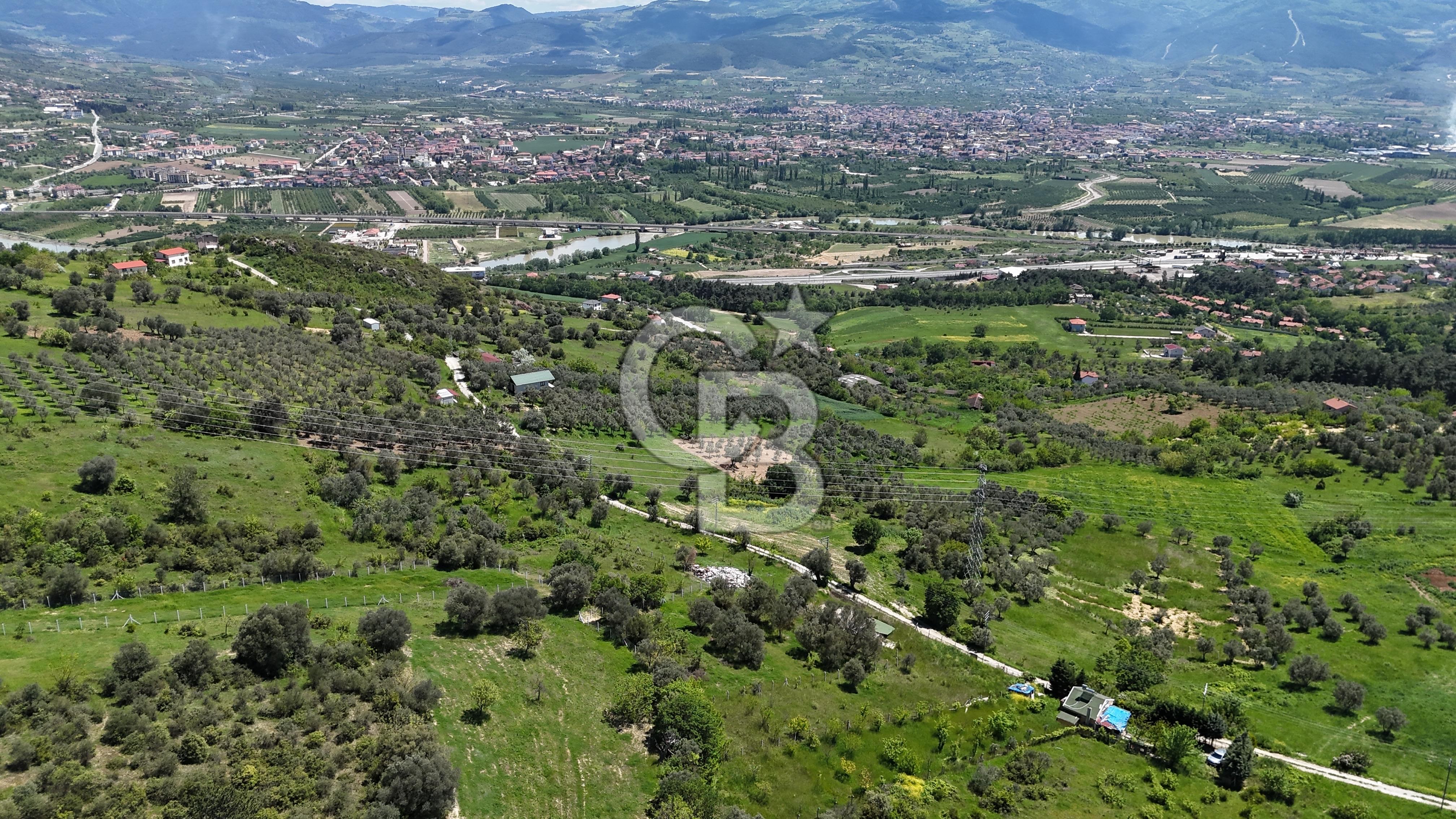 SAKARYA GEYVE DÜZAKÇAŞEHİR DE 3971 M² SATILIK TARLA