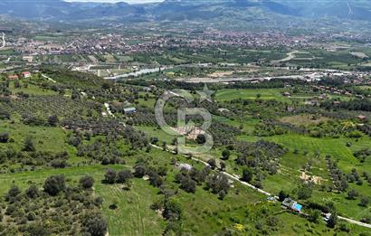 SAKARYA GEYVE DÜZAKÇAŞEHİR DE 3971 M² SATILIK TARLA