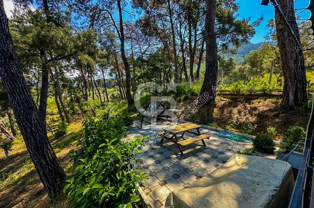 İZMİR GÖKÇEALANDA 9 DÖNÜM DOĞA İÇERİSİNDE SATILIK ÇİFTLİK EVİ