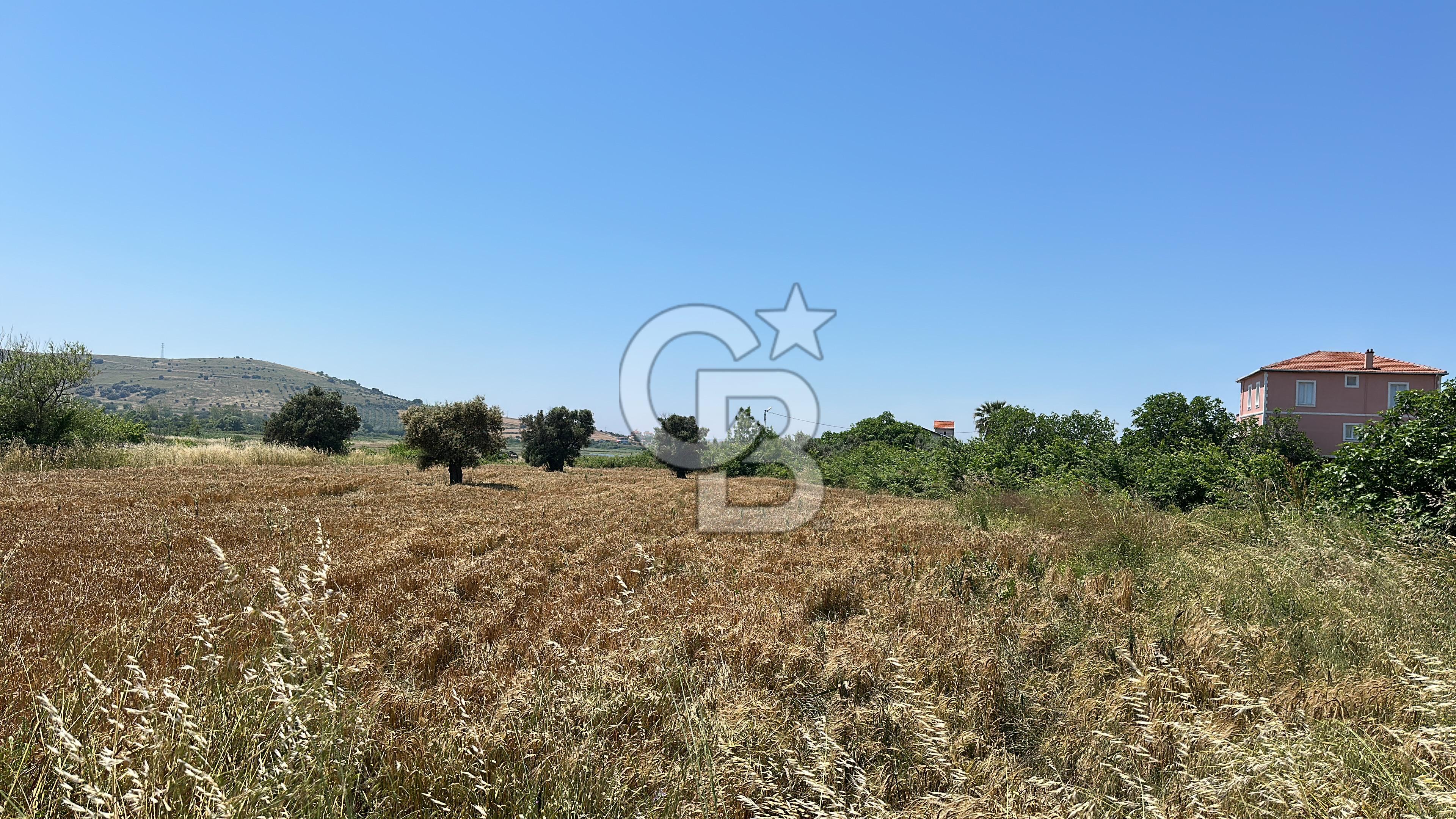 Paşalimanı Adası'nda Satılık Denize Yakın Yatırımlık Tarla