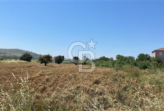 Paşalimanı Adası'nda Satılık Denize Yakın Yatırımlık Tarla - 7 - 351589