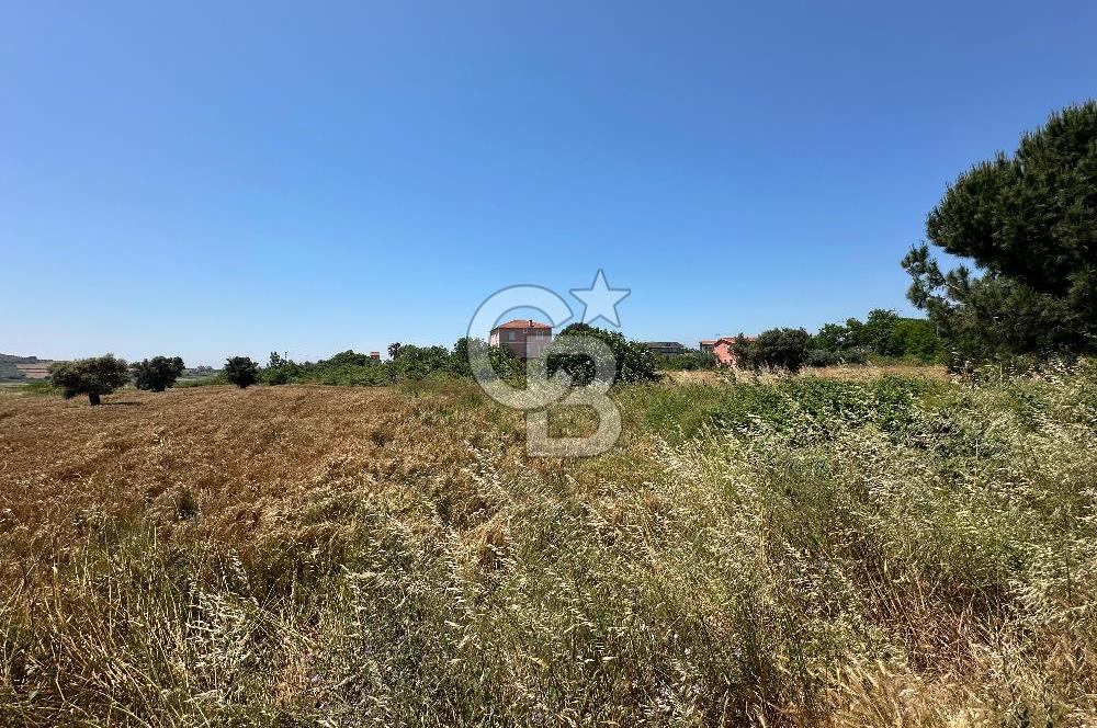Paşalimanı Adası'nda Satılık Denize Yakın Yatırımlık Tarla