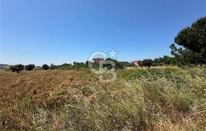 Paşalimanı Adası'nda Satılık Denize Yakın Yatırımlık Tarla