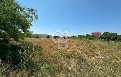 Paşalimanı Adası'nda Satılık Denize Yakın Yatırımlık Tarla