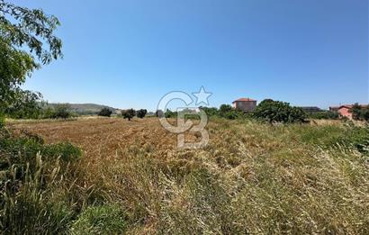 Paşalimanı Adası'nda Satılık Denize Yakın Yatırımlık Tarla