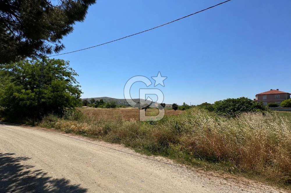 Paşalimanı Adası'nda Satılık Denize Yakın Yatırımlık Tarla