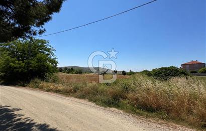 Paşalimanı Adası'nda Satılık Denize Yakın Yatırımlık Tarla