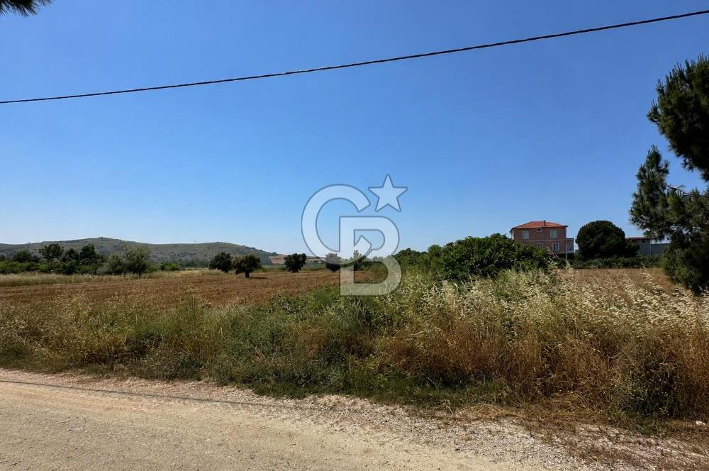 Paşalimanı Adası'nda Satılık Denize Yakın Yatırımlık Tarla