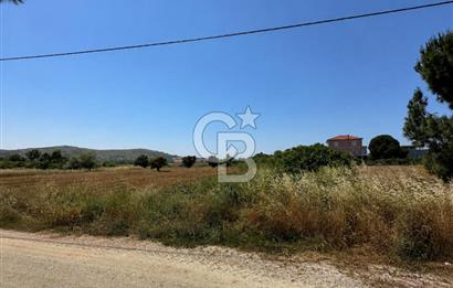 Paşalimanı Adası'nda Satılık Denize Yakın Yatırımlık Tarla