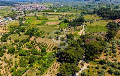 İZMİR GÖKÇEALANDA 9 DÖNÜM DOĞA İÇERİSİNDE SATILIK ÇİFTLİK EVİ