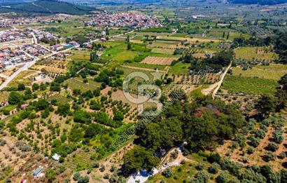 İZMİR GÖKÇEALANDA 9 DÖNÜM DOĞA İÇERİSİNDE SATILIK ÇİFTLİK EVİ