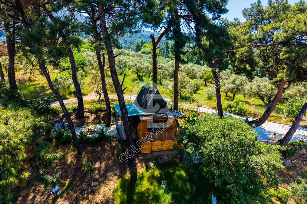 İZMİR GÖKÇEALANDA 9 DÖNÜM DOĞA İÇERİSİNDE SATILIK ÇİFTLİK EVİ
