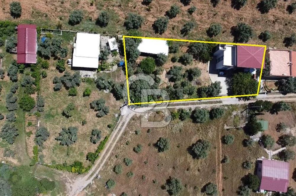 kemalpaşa müstakil tapu 837 m2 hayvan damı da bulunan bahçeli villa 
