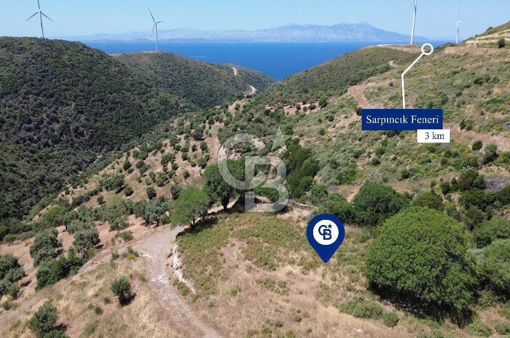 Karaburun Sarpıncık'ta 9.125 m² Satılık Tarla