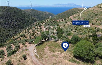 Karaburun Sarpıncık'ta 9.125 m² Satılık Tarla