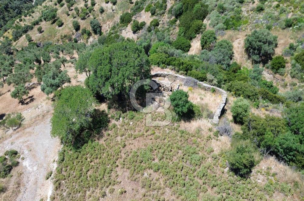 Karaburun Sarpıncık'ta 9.125 m² Satılık Tarla