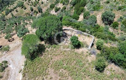 Karaburun Sarpıncık'ta 9.125 m² Satılık Tarla