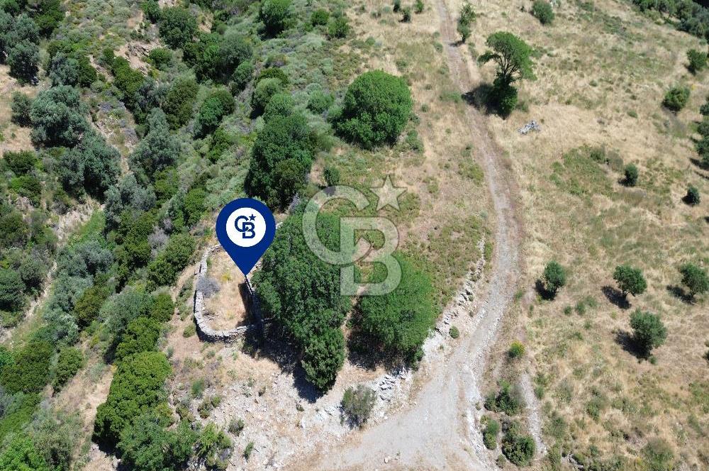 Karaburun Sarpıncık'ta 9.125 m² Satılık Tarla