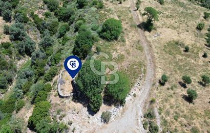 Karaburun Sarpıncık'ta 9.125 m² Satılık Tarla
