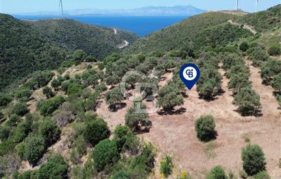 Sarpıncık'ta 5437 m² Yatırımlık Tarla&Üzüm Bağı