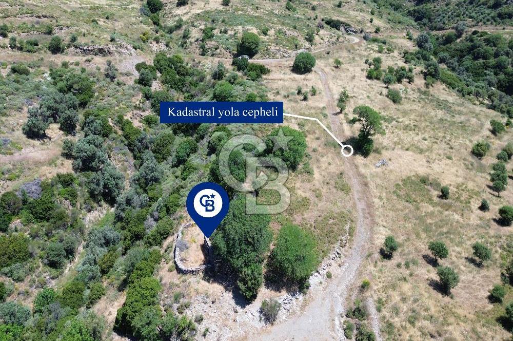 Karaburun Sarpıncık'ta 9.125 m² Satılık Tarla