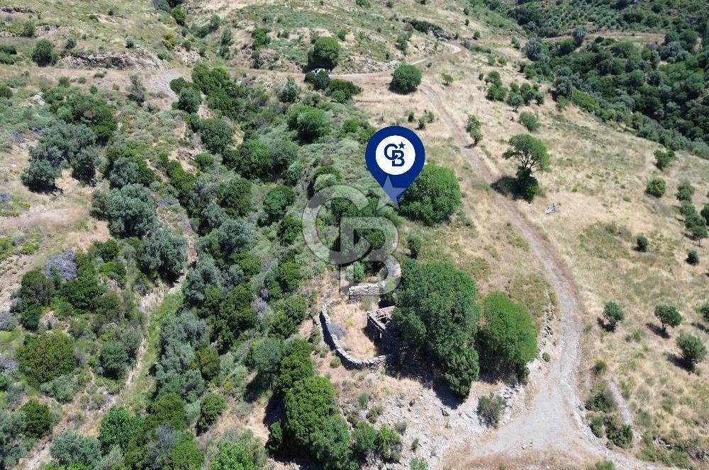 Karaburun Sarpıncık'ta 9.125 m² Satılık Tarla