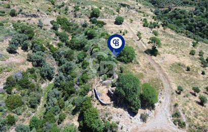 Karaburun Sarpıncık'ta 9.125 m² Satılık Tarla