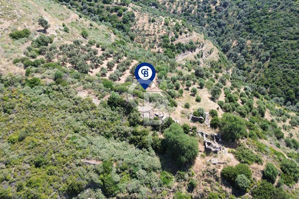 Sarpıncık'ta 5437 m² Yatırımlık Tarla&Üzüm Bağı
