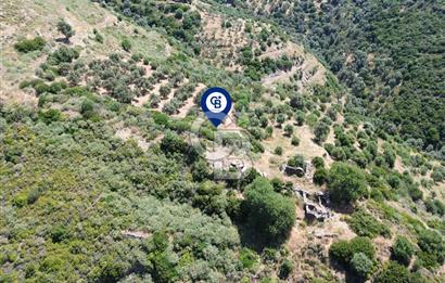 Sarpıncık'ta 5437 m² Yatırımlık Tarla&Üzüm Bağı