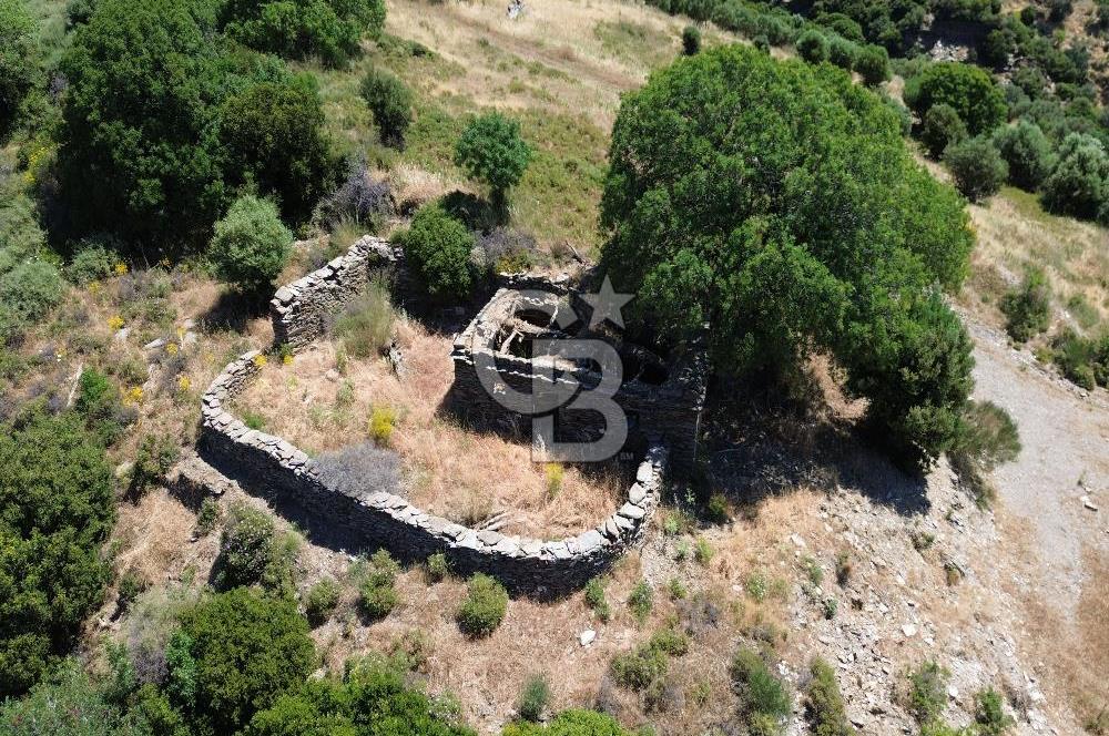Karaburun Sarpıncık'ta 9.125 m² Satılık Tarla