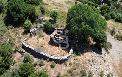 Karaburun Sarpıncık'ta 9.125 m² Satılık Tarla